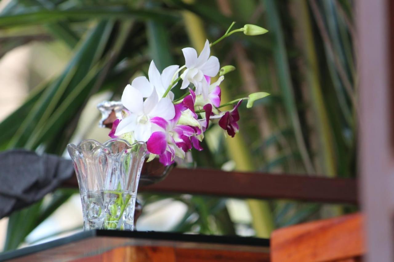 Agonda Wellness Hotell Exteriör bild